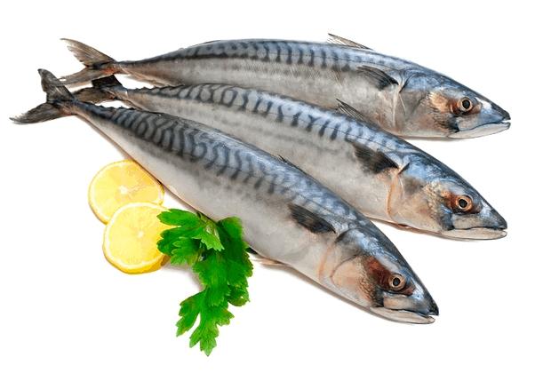 pesce-azzurro-sgombri